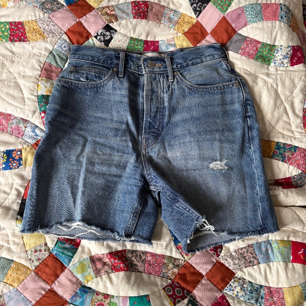 Everlane jean shorts